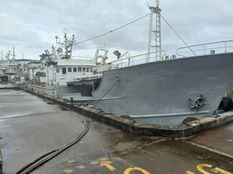 ଲଙ୍ଗଲାଇନ୍ ପାତ୍ର | ବିକ୍ରୟ ପାଇଁ