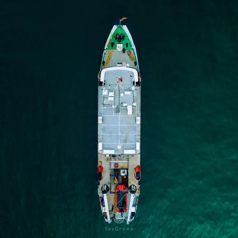 ସର୍ଭେ ପାତ୍ର | ବିକ୍ରୟ ପାଇଁ