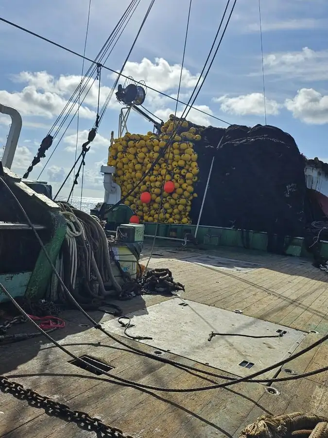 ସେନର୍ ବିକ୍ରୟ ପାଇଁ