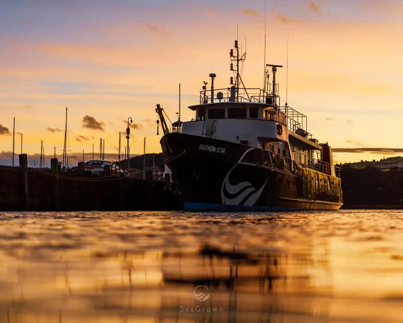 ସର୍ଭେ ପାତ୍ର | ବିକ୍ରୟ ପାଇଁ