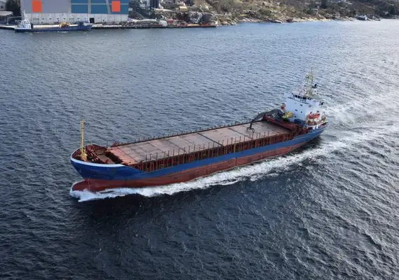 Bulk carrier for sale