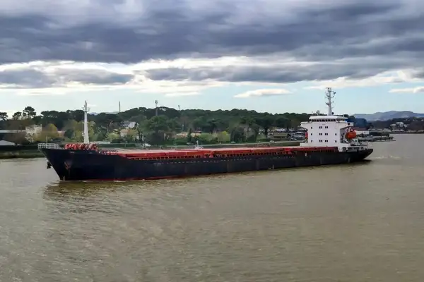 Bulk carrier for sale