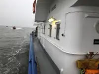 ଏକାଧିକ ଉଦ୍ଦେଶ୍ୟ | ବିକ୍ରୟ ପାଇଁ