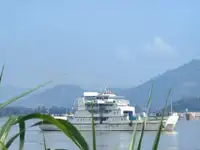 କାଟାମାରାନ୍ | ବିକ୍ରୟ ପାଇଁ