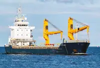 ବଲ୍କ ବାହକ | ବିକ୍ରୟ ପାଇଁ