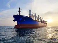 ବଲ୍କ ବାହକ | ବିକ୍ରୟ ପାଇଁ