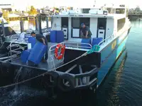 କାଟାମାରାନ୍ | ବିକ୍ରୟ ପାଇଁ