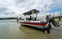 ଆମ୍ଫିବିଆସ୍ | ବିକ୍ରୟ ପାଇଁ