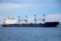 ବଲ୍କ ବାହକ | ବିକ୍ରୟ ପାଇଁ