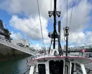 ପାଇଲଟ୍ ଡଙ୍ଗା | ବିକ୍ରୟ ପାଇଁ