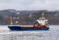 ବଲ୍କ ବାହକ | ବିକ୍ରୟ ପାଇଁ