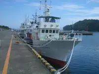 ଫିସିଙ୍ଗ୍ ଟ୍ରଲର୍ | ବିକ୍ରୟ ପାଇଁ