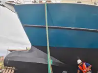 ଫିସିଙ୍ଗ୍ ଟ୍ରଲର୍ | ବିକ୍ରୟ ପାଇଁ