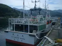ଫିସିଙ୍ଗ୍ ଟ୍ରଲର୍ | ବିକ୍ରୟ ପାଇଁ