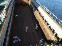 ବଲ୍କ ବାହକ | ବିକ୍ରୟ ପାଇଁ