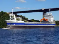 ବଲ୍କ ବାହକ | ବିକ୍ରୟ ପାଇଁ