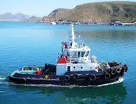 ବଲ୍କ ବାହକ | ବିକ୍ରୟ ପାଇଁ