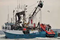 ସେନର୍ ବିକ୍ରୟ ପାଇଁ