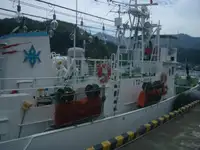 ଫିସିଙ୍ଗ୍ ଟ୍ରଲର୍ | ବିକ୍ରୟ ପାଇଁ