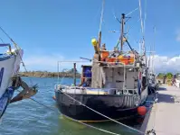 ଲଙ୍ଗଲାଇନ୍ ପାତ୍ର | ବିକ୍ରୟ ପାଇଁ