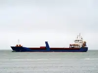 ବଲ୍କ ବାହକ | ବିକ୍ରୟ ପାଇଁ