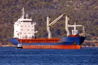 ବଲ୍କ ବାହକ | ବିକ୍ରୟ ପାଇଁ