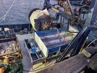 ସ୍କ୍ରାପ୍ ଧାତୁ | ବିକ୍ରୟ ପାଇଁ