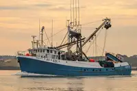 ସେନର୍ ବିକ୍ରୟ ପାଇଁ