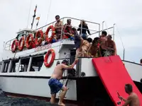 ସମର୍ଥନ ବୁଡ଼ାନ୍ତୁ | ବିକ୍ରୟ ପାଇଁ