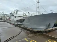 ଲଙ୍ଗଲାଇନ୍ ପାତ୍ର | ବିକ୍ରୟ ପାଇଁ