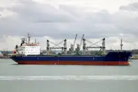 ବଲ୍କ ବାହକ | ବିକ୍ରୟ ପାଇଁ