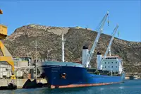 ବଲ୍କ ବାହକ | ବିକ୍ରୟ ପାଇଁ