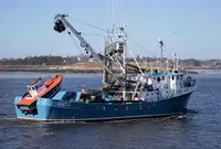 ସେନର୍ ବିକ୍ରୟ ପାଇଁ