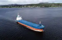 ବଲ୍କ ବାହକ | ବିକ୍ରୟ ପାଇଁ