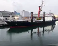 ବଲ୍କ ବାହକ | ବିକ୍ରୟ ପାଇଁ