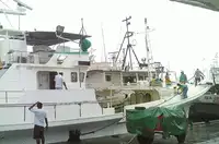 ଲଙ୍ଗଲାଇନ୍ ପାତ୍ର | ବିକ୍ରୟ ପାଇଁ