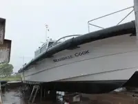 ପାଇଲଟ୍ ଡଙ୍ଗା | ବିକ୍ରୟ ପାଇଁ